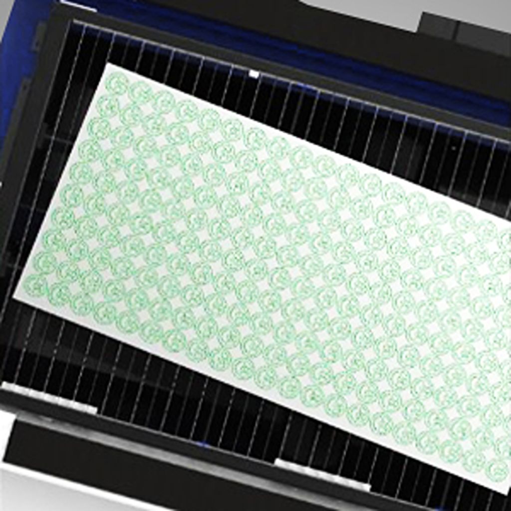 Eckert Diamond Combo Lézervágógép automatikus lemezorientáció SLTL fejjel